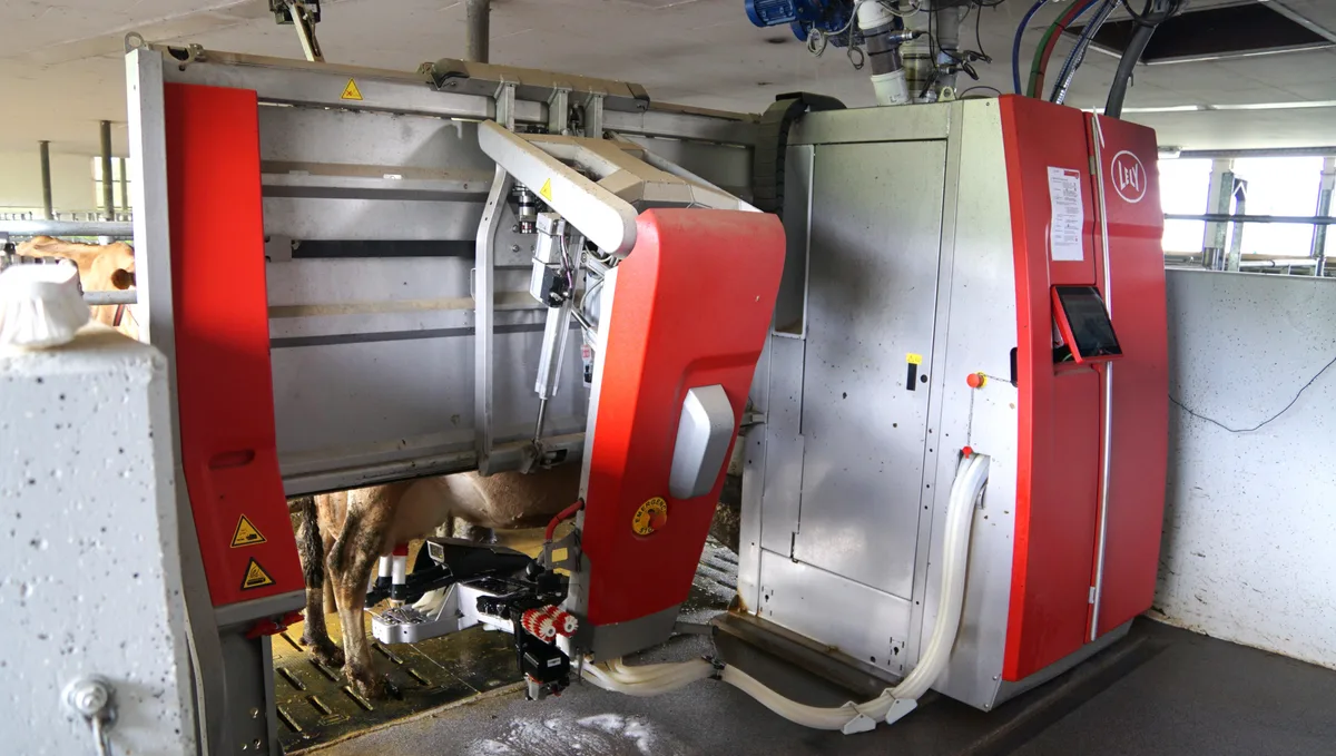 Automatisierung auf Bauernhöfen